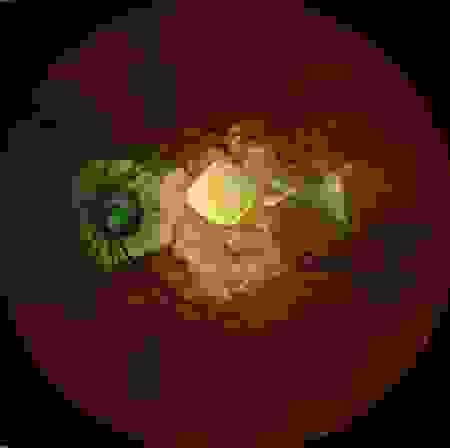 prima.png